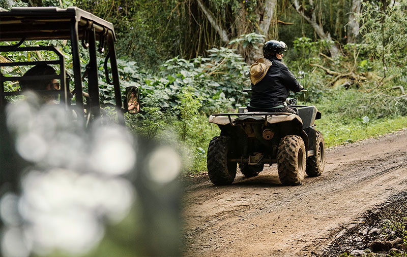 Quad bike